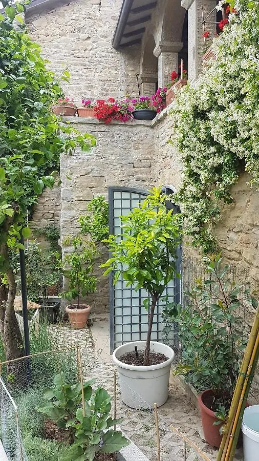 #Fortcozzo - Jacuzzisuite & Sauna - Casola Valsenio Mercatale  Bed & Breakfast