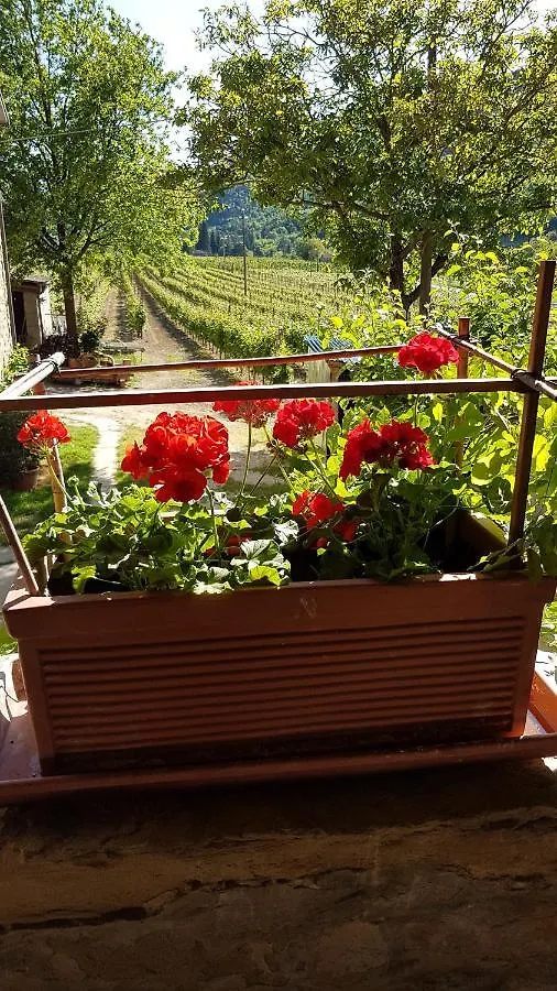 #Fortcozzo - Jacuzzisuite & Sauna - Casola Valsenio Mercatale  Italy